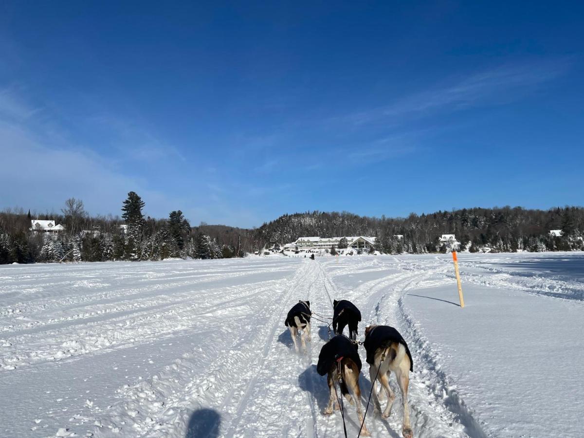 Pourvoirie Du Lac Blanc เซนต์ อเล็กซิส เด มองส์ ภายนอก รูปภาพ
